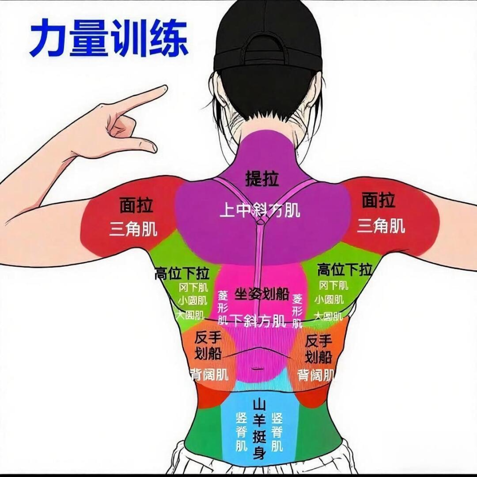 挺胸, ZqlQA, bf 挺胸, ZqlQA, bf